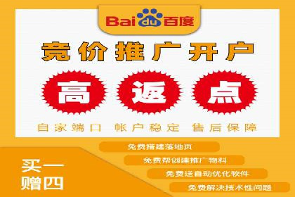 提升关键词竞价排名转化率：经典案例解析